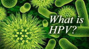 https://bilalisgynaikologos.gr/wp-content/uploads/2014/10/HPV-ΤΙ-ΕΙΝΑΙ11-1.jpg